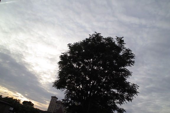 20100723 024716